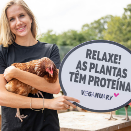 Imagem da notícia Guia para Iniciantes no Veganismo: Sua Porta de Entrada para um Estilo de Vida Saudável e Sustentável